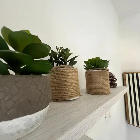 Sea Front Studio - Апартаменты Санремо