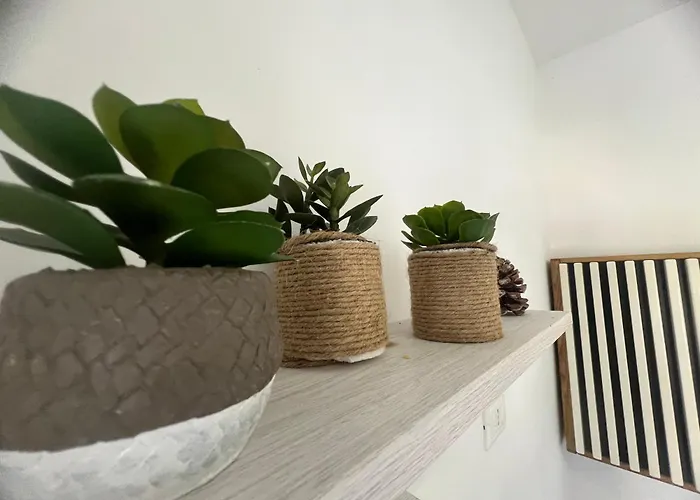 Sea Front Studio - Apartment Sanremo